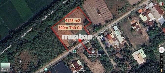 Mặt Tiền Số 75 Nguyễ Thị Dạng, Xã Nhuận Đức TPHCM