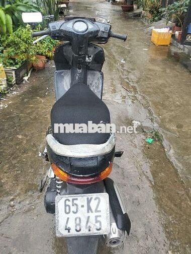 Xe zin máy êm ru biển 65