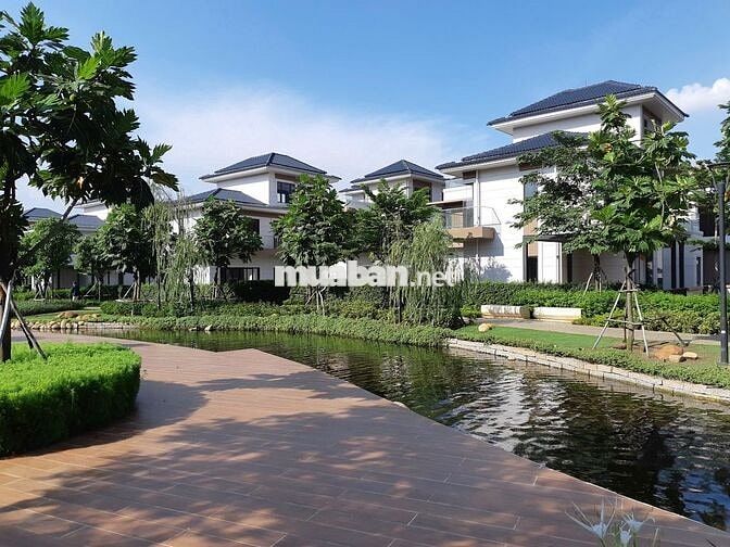 Chính chủ gửi bán Biệt thự song lập Swan Bay - Zone 8. Hướng đông nam