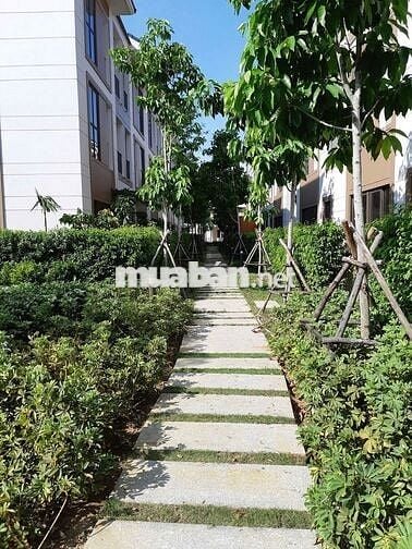 Chính chủ gửi bán Biệt thự song lập Swan Bay - Zone 8. Hướng đông nam