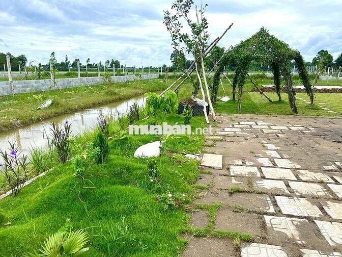 Đất vườn 1600m2, ngay TT Gò Dầu, TN, SHR, dân cư sầm uất, giá 1,5 tỷ