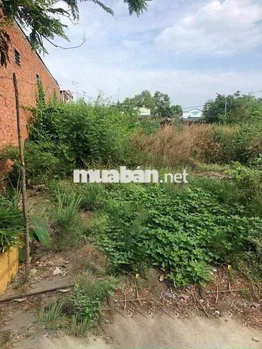 Đất thổ cư xã Long Thọ Nhơn Trạch Đồng Nai