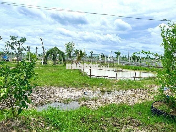 Đất vườn 1600m2, ngay TT Gò Dầu, TN, SHR, dân cư sầm uất, giá 1,5 tỷ