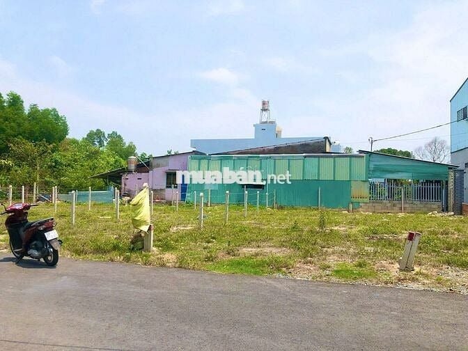 ✅ ĐẤT 1/ NGUYỄN VĂN KHẠ–TÂN AN HỘI: 94m2 (5x19) . Giá 1 tỷ 300