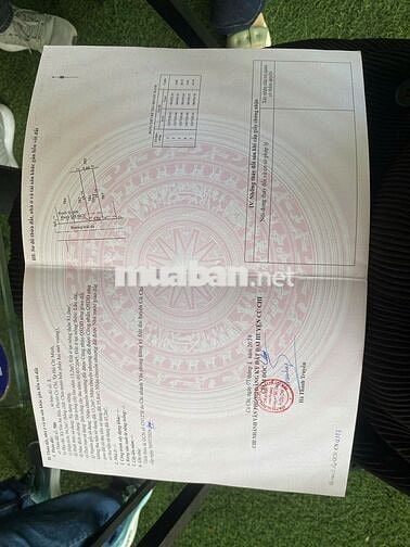 ✅ ĐẤT 1/ NGUYỄN VĂN KHẠ–TÂN AN HỘI: 94m2 (5x19) . Giá 1 tỷ 300