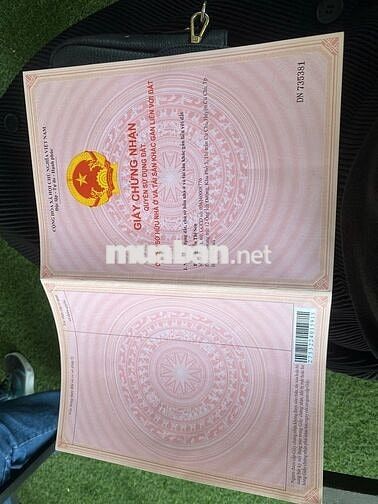 ✅ ĐẤT 1/ NGUYỄN VĂN KHẠ–TÂN AN HỘI: 94m2 (5x19) . Giá 1 tỷ 300