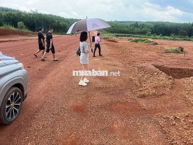 Đất nền giá rẻ - vị trí siêu tiềm năng ngang KCN Tân Tiến 1-2