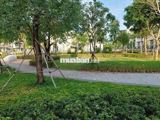 Chính chủ gửi bán Biệt thự song lập Swan Bay - Zone 8. Hướng đông nam