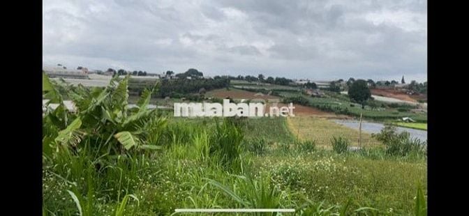 Bán đất nền Xã Ka Đô - H. Đơn Dương - Lâm Đồng ; SH 189 m2; TC 72m2;