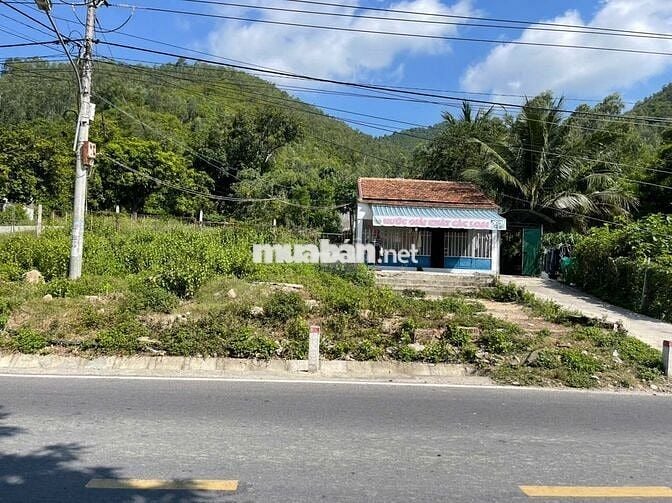 Chính chủ cần bán gấp đất Phước Đồng, TP Nha Trang, Tỉnh Khánh Hòa