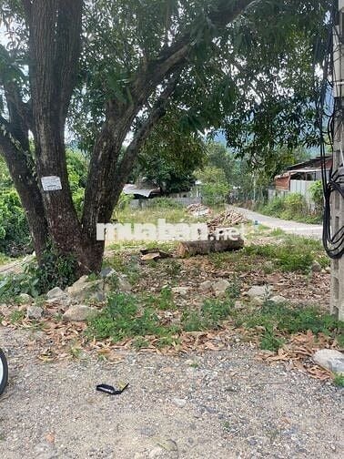 Chính chủ cần bán gấp đất Phước Đồng, TP Nha Trang, Tỉnh Khánh Hòa