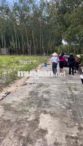 Đất chính chủ sổ Hồng riêng.sẵn sang tên công chứng