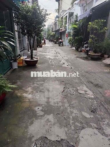 Nguyên căn 5 Tàng 4 x 25m Hẻm Xe Hơi Lạc Long Quân Q11