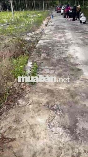 Đất chính chủ sổ Hồng riêng.sẵn sang tên công chứng