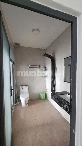 Cho thuê nhà phố 1 trệt 2 lau bình dương 