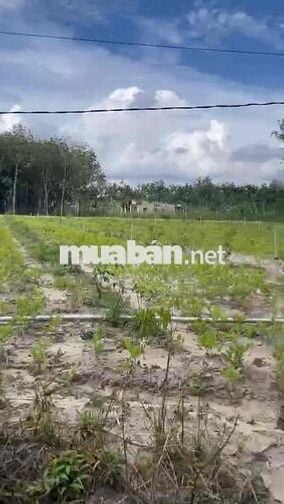 Đất chính chủ sổ Hồng riêng.sẵn sang tên công chứng