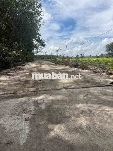 Đất chính chủ sổ Hồng riêng.sẵn sang tên công chứng