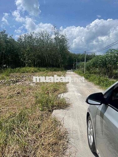 Đất chính chủ sổ Hồng riêng.sẵn sang tên công chứng