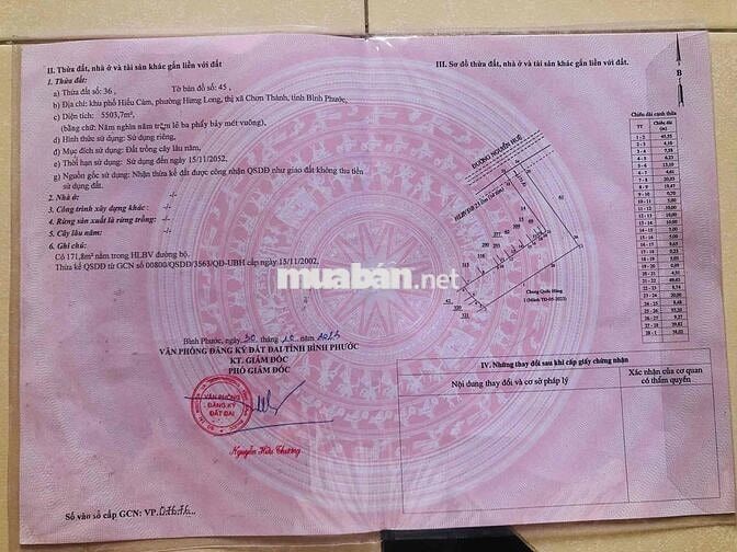 Bán Đất Mặt Tiền Nguyễn Huệ 5.500m2