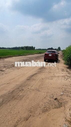 Kẹt tiền cần bán nhanh giá rẻ nhất khu vực