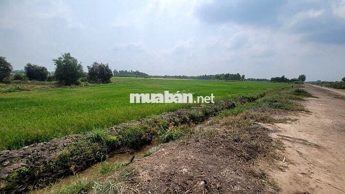 Kẹt tiền cần bán nhanh giá rẻ nhất khu vực