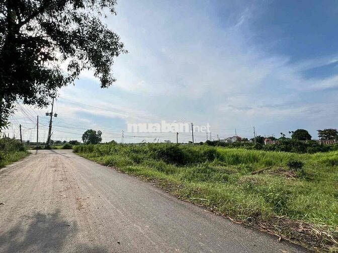 BÁN ĐẤT MẶT TIỀN ĐƯỜNG ÚT AN – THỊ TRẤN ĐỨC HÒA