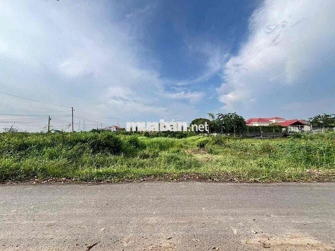 BÁN ĐẤT MẶT TIỀN ĐƯỜNG ÚT AN – THỊ TRẤN ĐỨC HÒA