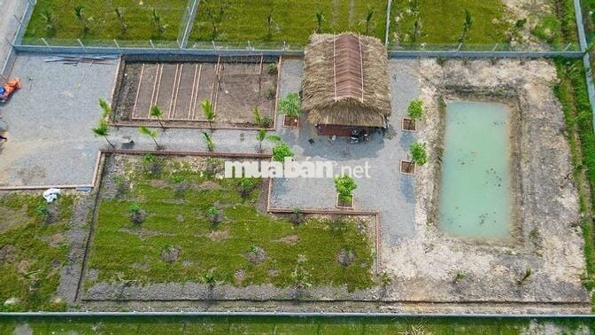 🌿 NHÀ VƯỜN CỦ CHI 1000m² CHỈ 1 TỶ 100 TRIỆU – GẦN CHỢ TRUNG LẬP HẠ 🌾