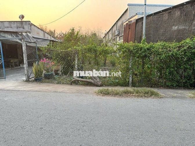 Siêu phẩm đất ở đô thị Phước Thạnh 280m2 thổ sẵn 150m. chỉ 900 triệu