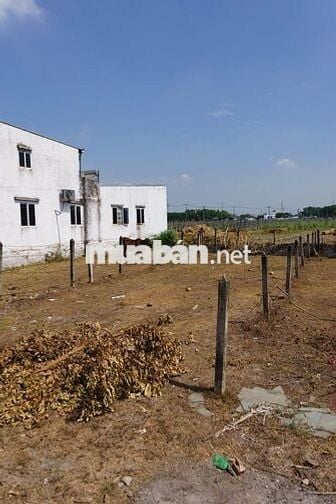 Chính chủ cần bán 173m2 đất tại Hòa Phú, Củ Chi