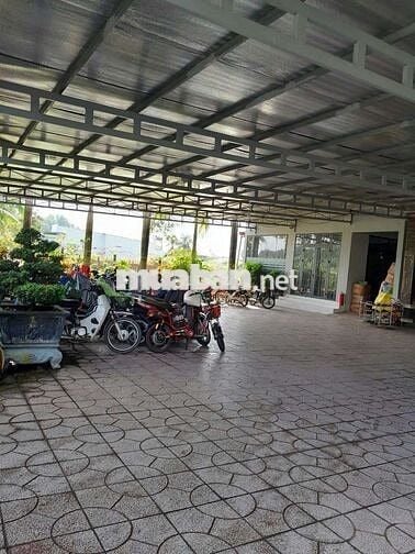 💢Bán xưởng may củ chi DT 2517m đất ở 2000m.