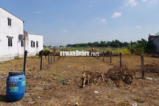 Chính chủ cần bán 173m2 đất tại Hòa Phú, Củ Chi