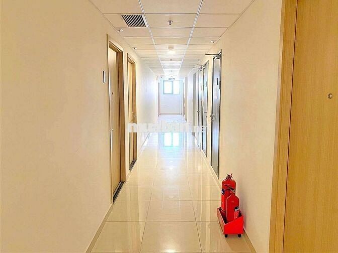 CHO THUÊ CHUNG CƯ NGAY Cầu Phú Mỹ 🔥 Full Tiện Ích Sử Dụng FREE🔥🔥