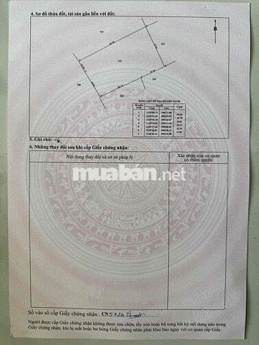 Kẹt tiền bán gấp khu đất lúa (4620m2) đường Cá lăng, xã phú hoà đông