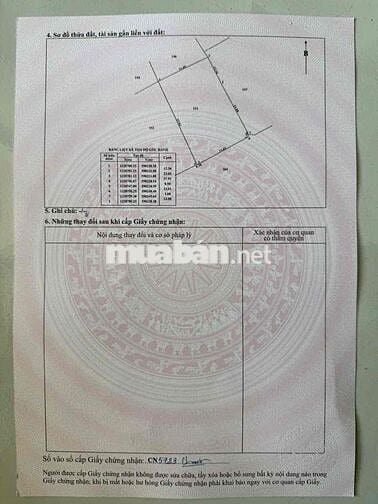 Kẹt tiền bán gấp khu đất lúa (4620m2) đường Cá lăng, xã phú hoà đông