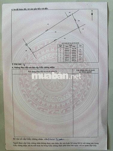 Kẹt tiền bán gấp khu đất lúa (4620m2) đường Cá lăng, xã phú hoà đông
