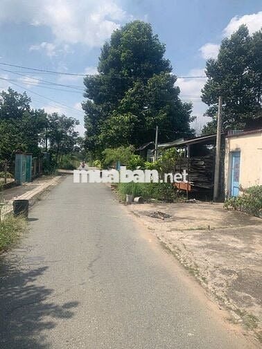 BÁN NHÀ NÁT XÃ TÂN PHÚ TRUNG CHO KHÁCH ĐẦU TƯ LẠI:5x17=85m2, SHR, 1tỷ3