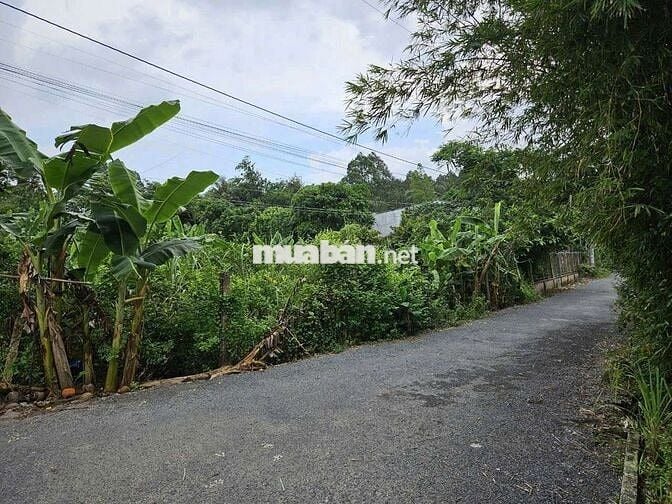 BÁN ĐẤT 2 MẶT TIỀN LỘ NHỰA DT 636,5M²- ĐÔNG BÌNH, BÌNH MINH, VĨNH LONG