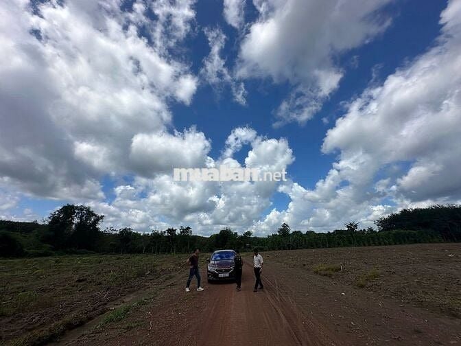 Chủ cần bán gấp đất nền 1100m2 tại xã Tân Lợi, Đồng Phú, 400 triệu,.