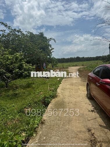 Bán gấp lô đất chôm chôm liền kề 400m2, ngang 13m có 200mtc sau trường