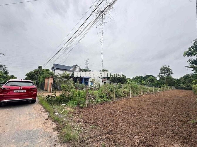 BÁN ĐẤT ĐƯỜNG CÂY TRÔM - CỦ CHI - SHR