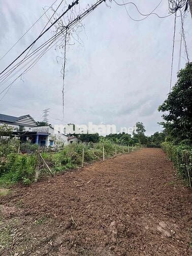 BÁN ĐẤT ĐƯỜNG CÂY TRÔM - CỦ CHI - SHR