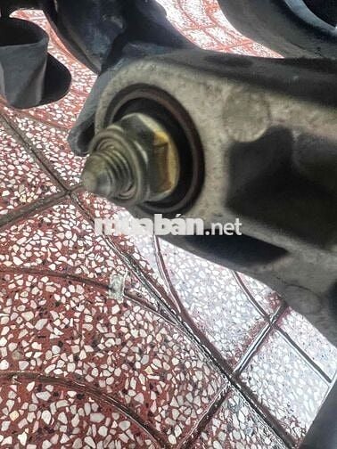 Vision 2018 zin áo keo