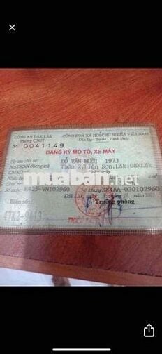 cần bán xipo giá yêu thương,chỉ có cà vẹt gốc