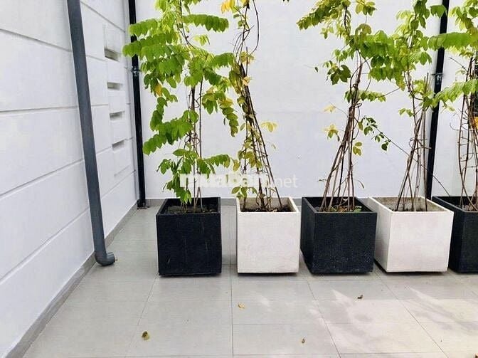 🏠 Ngang 10M nhà mới mặt tiền Hoàng Dư Khương - Gần Bên Vạn Hạnh Mall