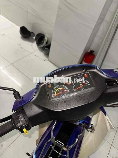 cần bán xipo giá yêu thương,chỉ có cà vẹt gốc