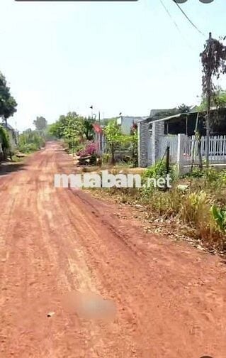 Chú bảy gửi bán miếng đất vườn giá rẻ