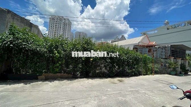 Đất huỳnh tấn phát đường xe hơi quy đầu