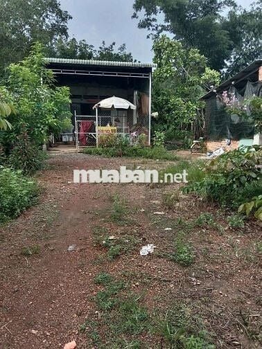 Chú bảy gửi bán miếng đất vườn giá rẻ