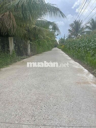 Cực đẹp bán 2 nền đất liền kề ngay Cụm CN Bình Ninh giá chỉ 400 triệu